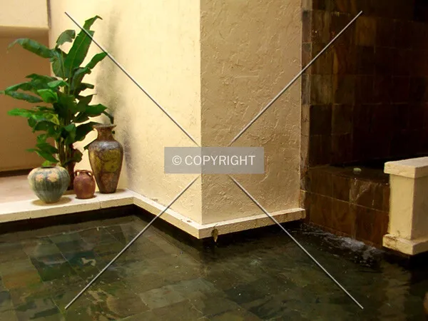 Waterfall and planters by the lobby's pool
