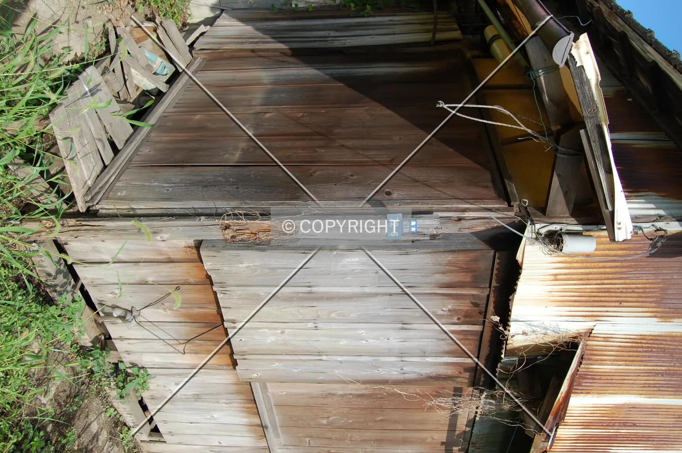 Photo 340-293-534