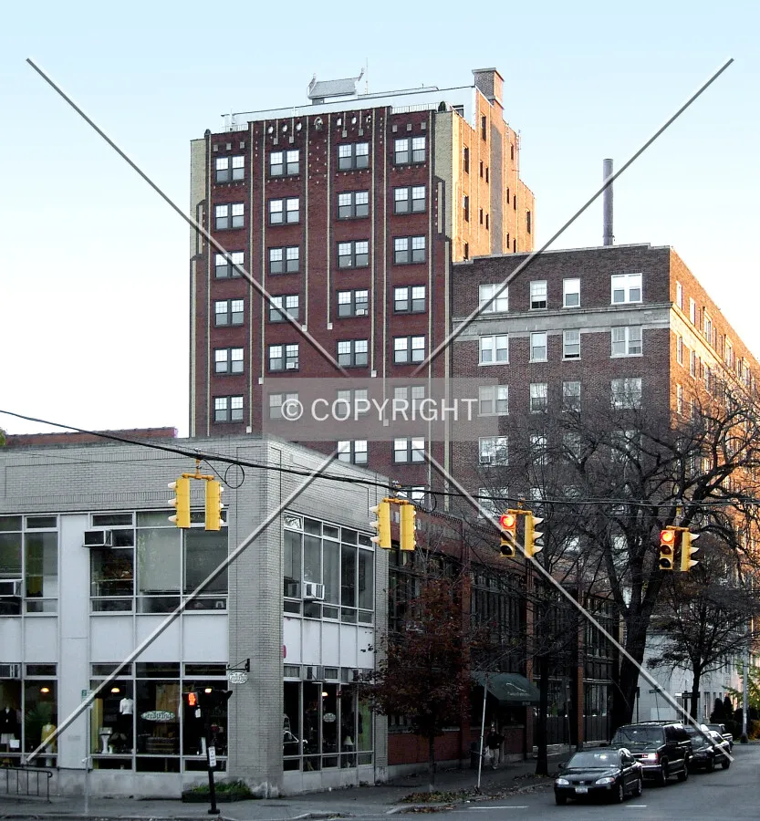 View from the north