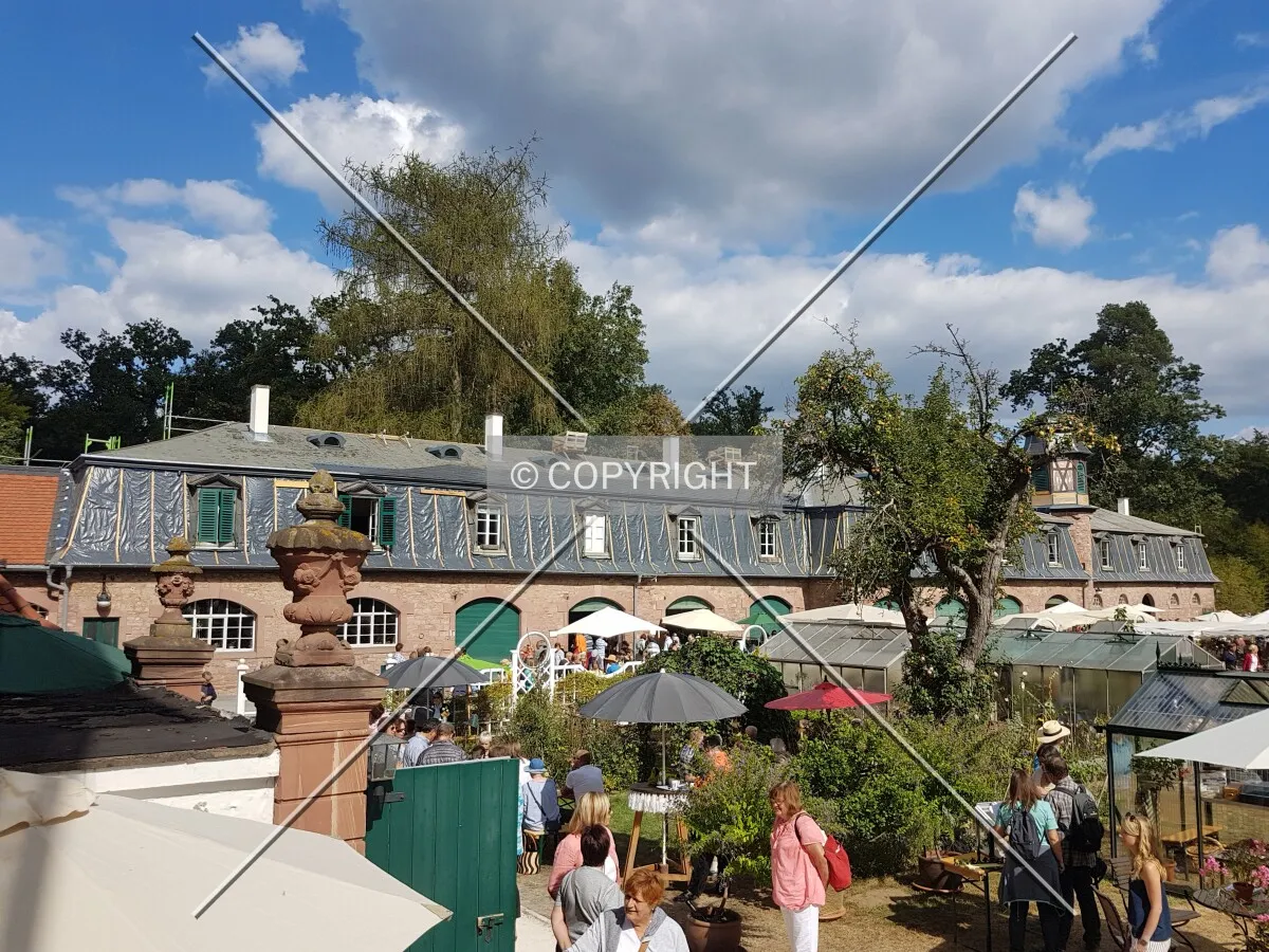Schloß Wolfsgarten in 2018