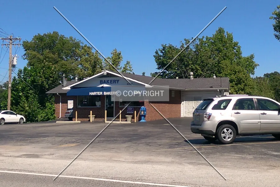 Photo 341-521-662