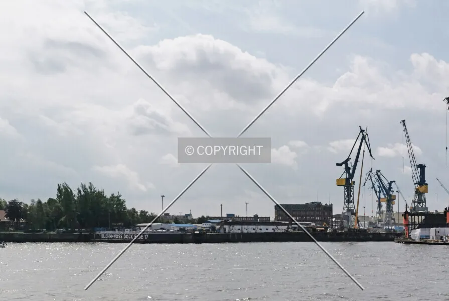 Photo 342-157-333