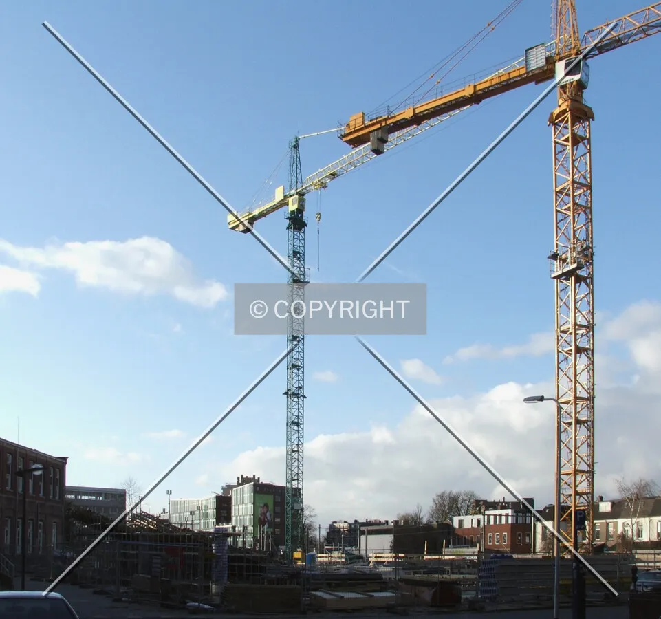 The cranes as seen from Wenninkgaarde