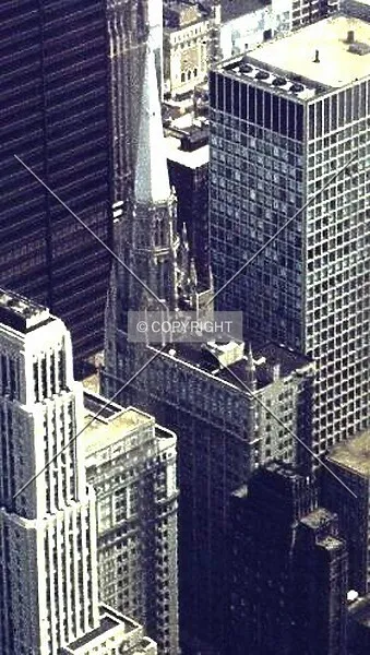 Photo 342-292-481