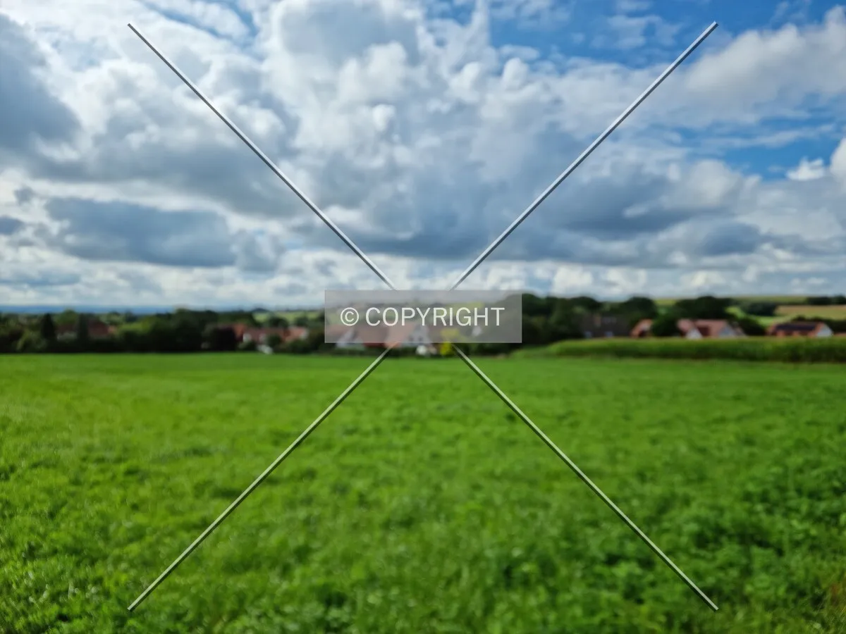 Photo 342-344-501