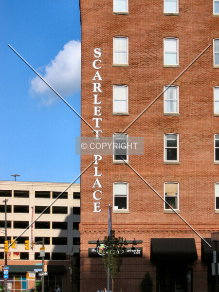 Photo 342-606-569