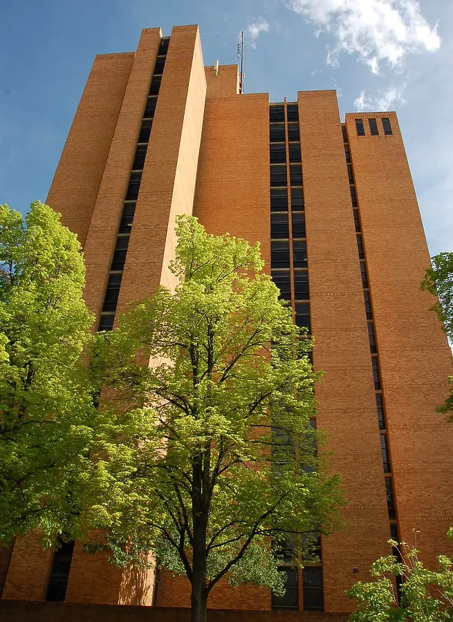 View from the north