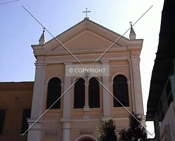 The catholic church