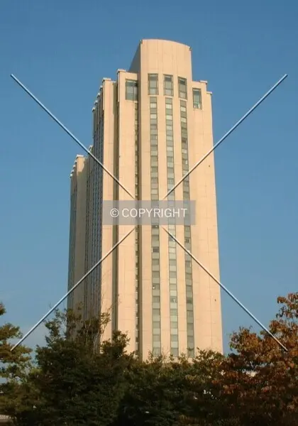 Photo 342-782-297