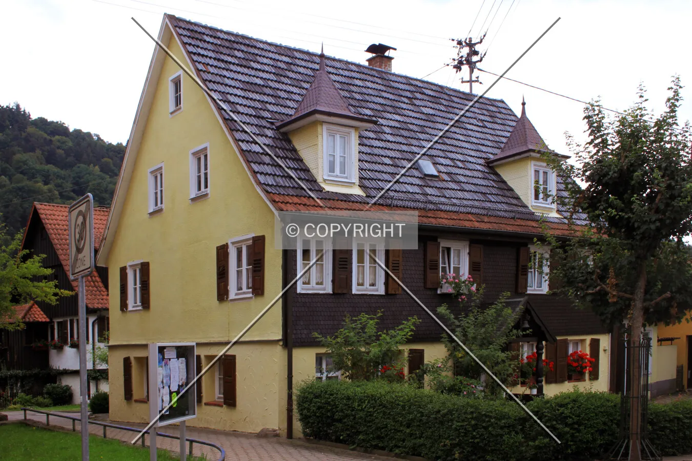 Photo 003-428-688