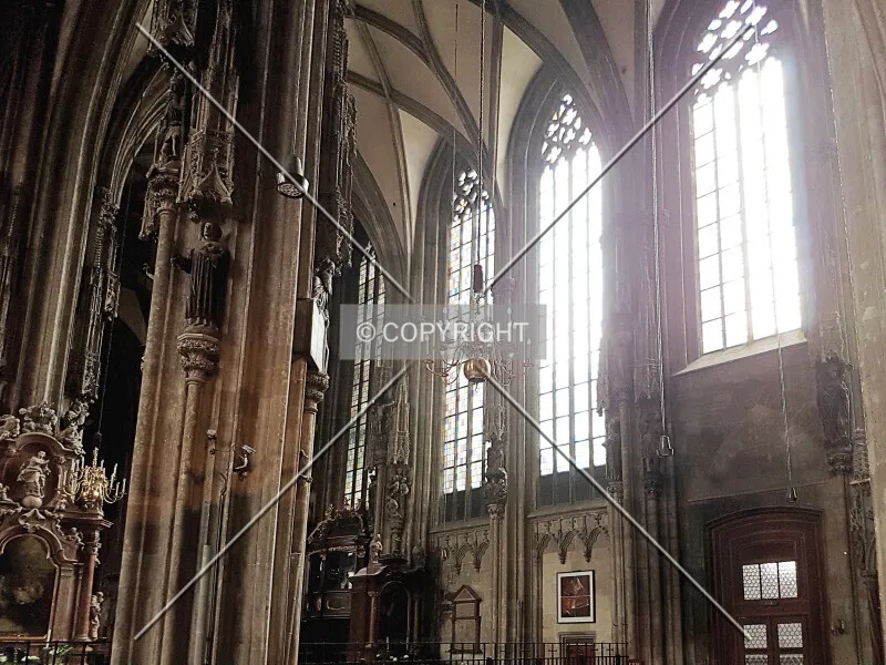 Photo 342-916-075