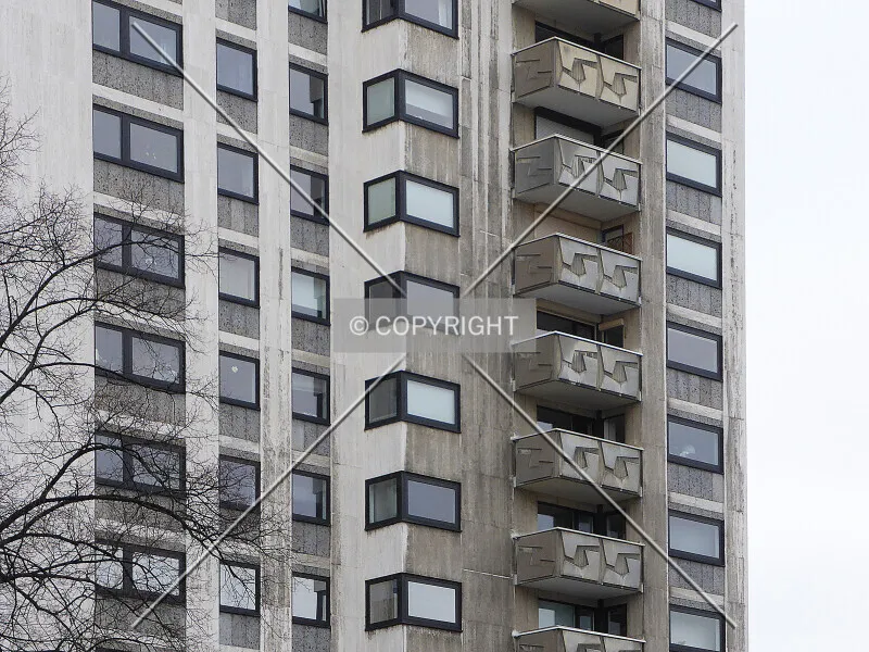 Photo 342-933-835