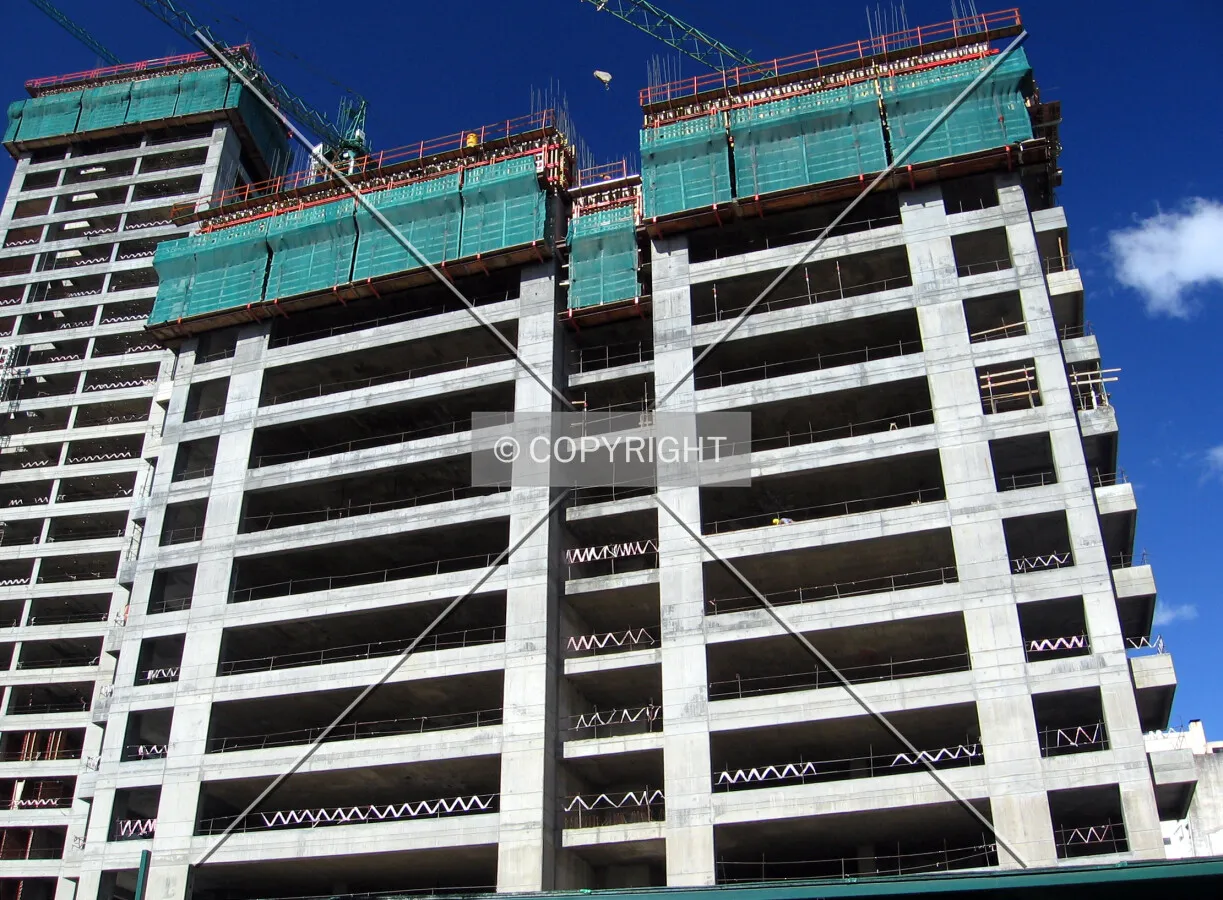 Looking up from Cavia Street