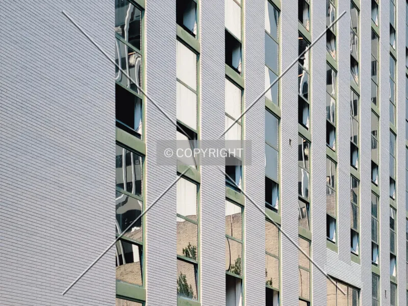 Photo 343-437-809
