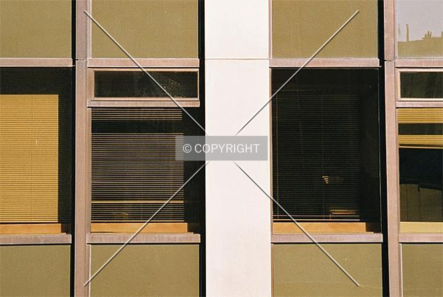 Photo 343-606-852