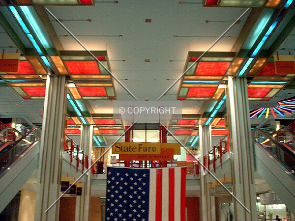 Gaviidae Common atrium, base of Dain Rauscher Plaza