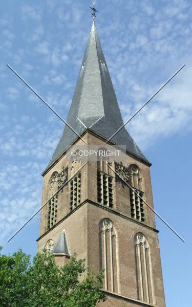 Photo 344-125-544