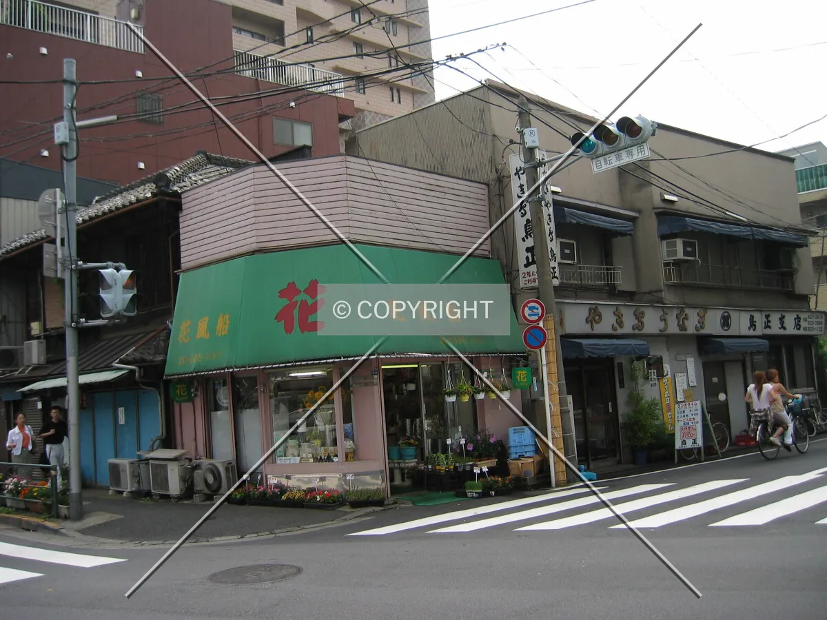 Photo 344-170-284