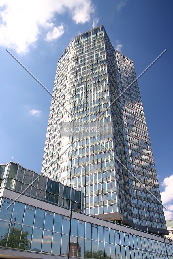 View north looking up from Millbank