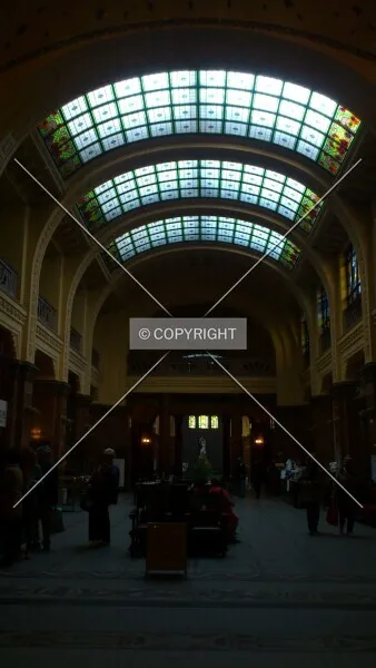 Photo 344-711-779