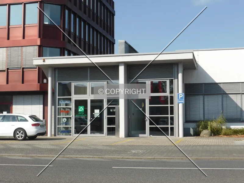 Photo 344-774-302