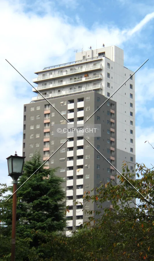 View from the east