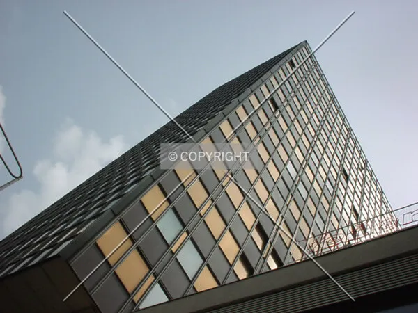 View to the top