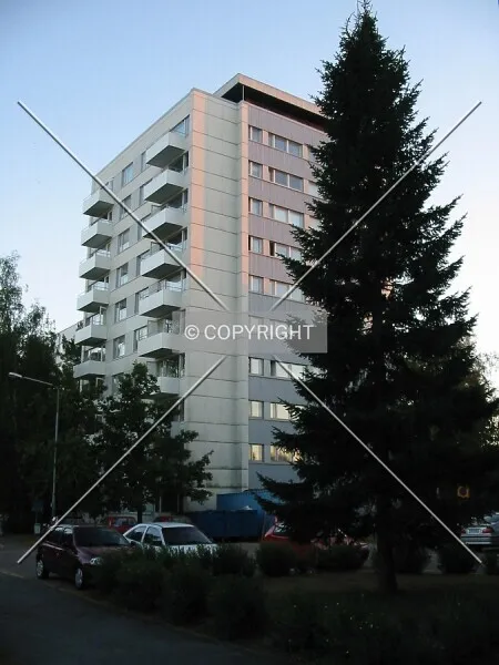 Photo 345-258-322