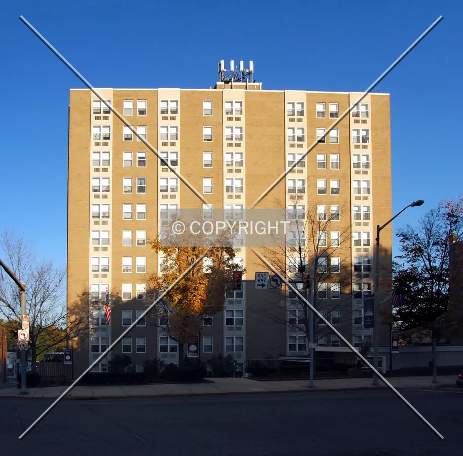 View from the west