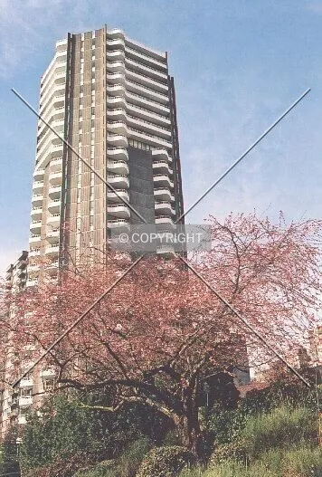 Photo 345-894-142