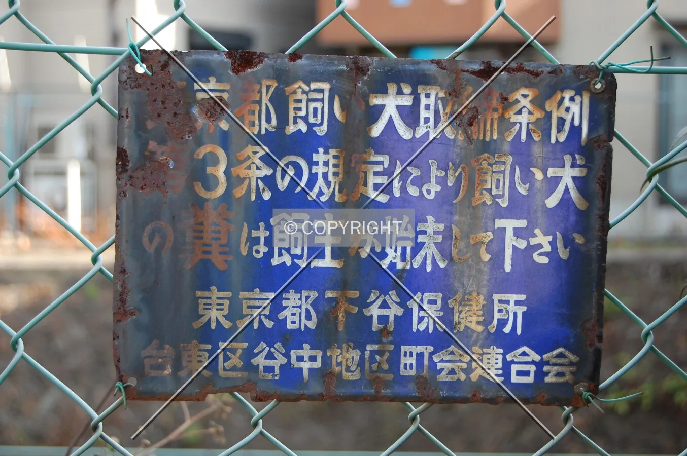 Photo 346-019-819