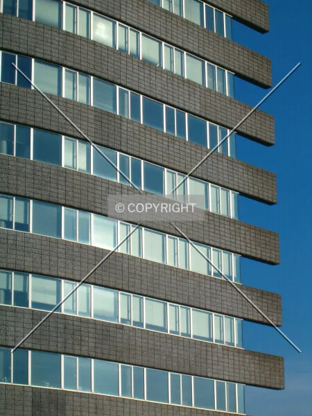 Photo 346-175-490