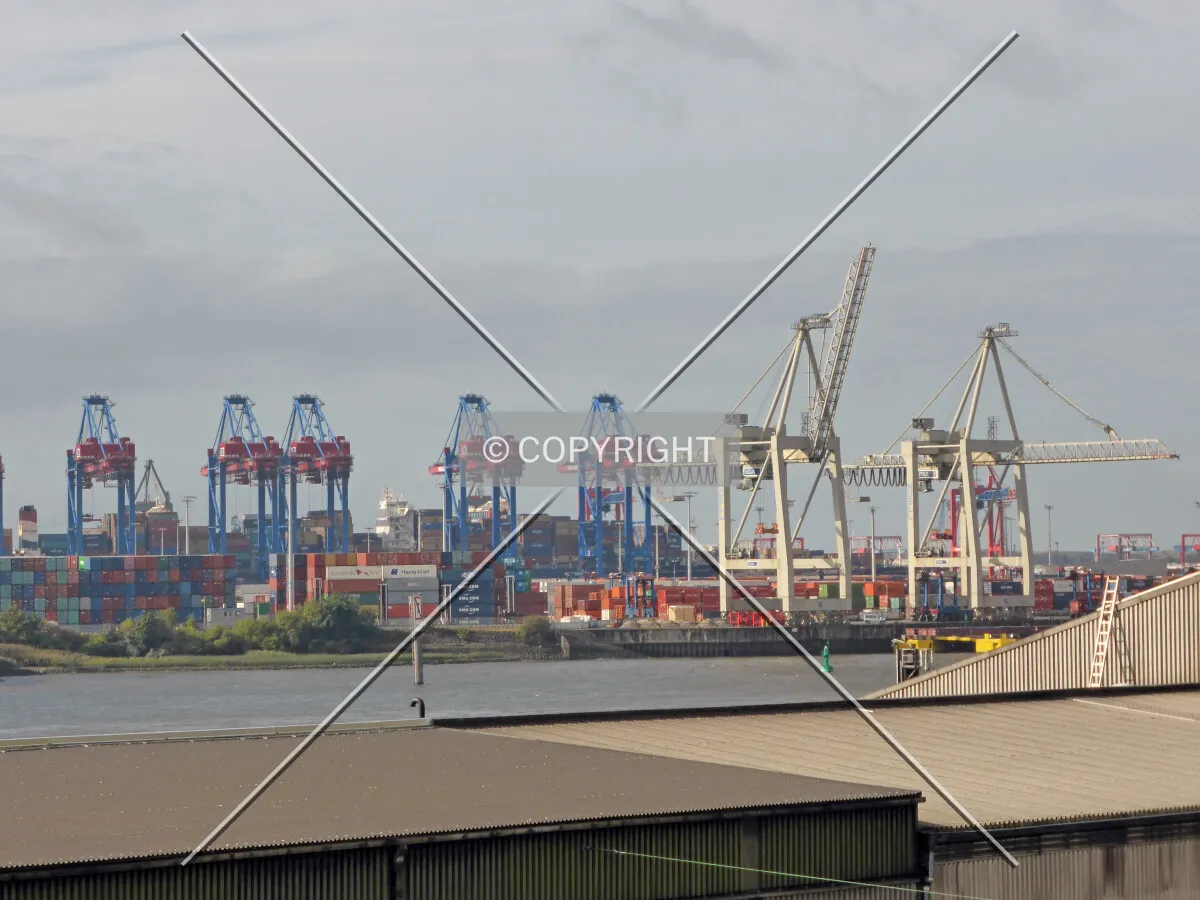 Cranes at the Elbe river