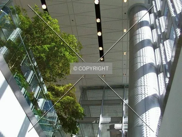 Looking up from the concourse