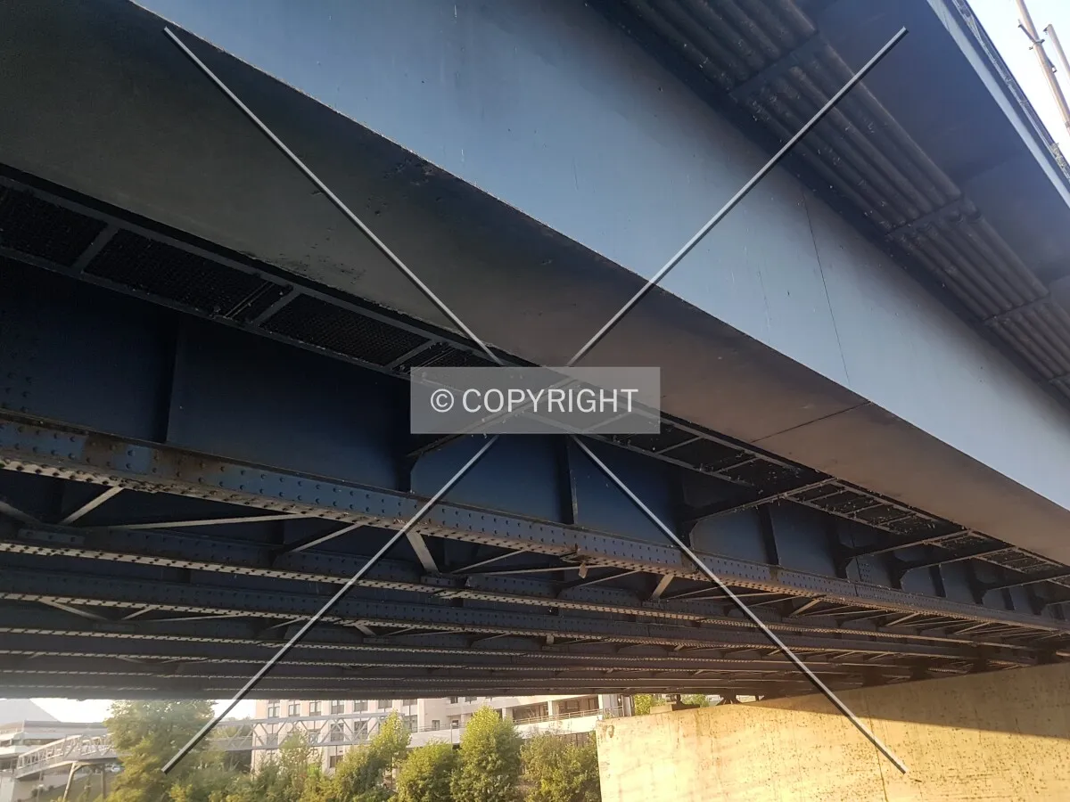 Photo 346-733-408