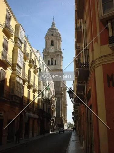 Photo 346-799-593