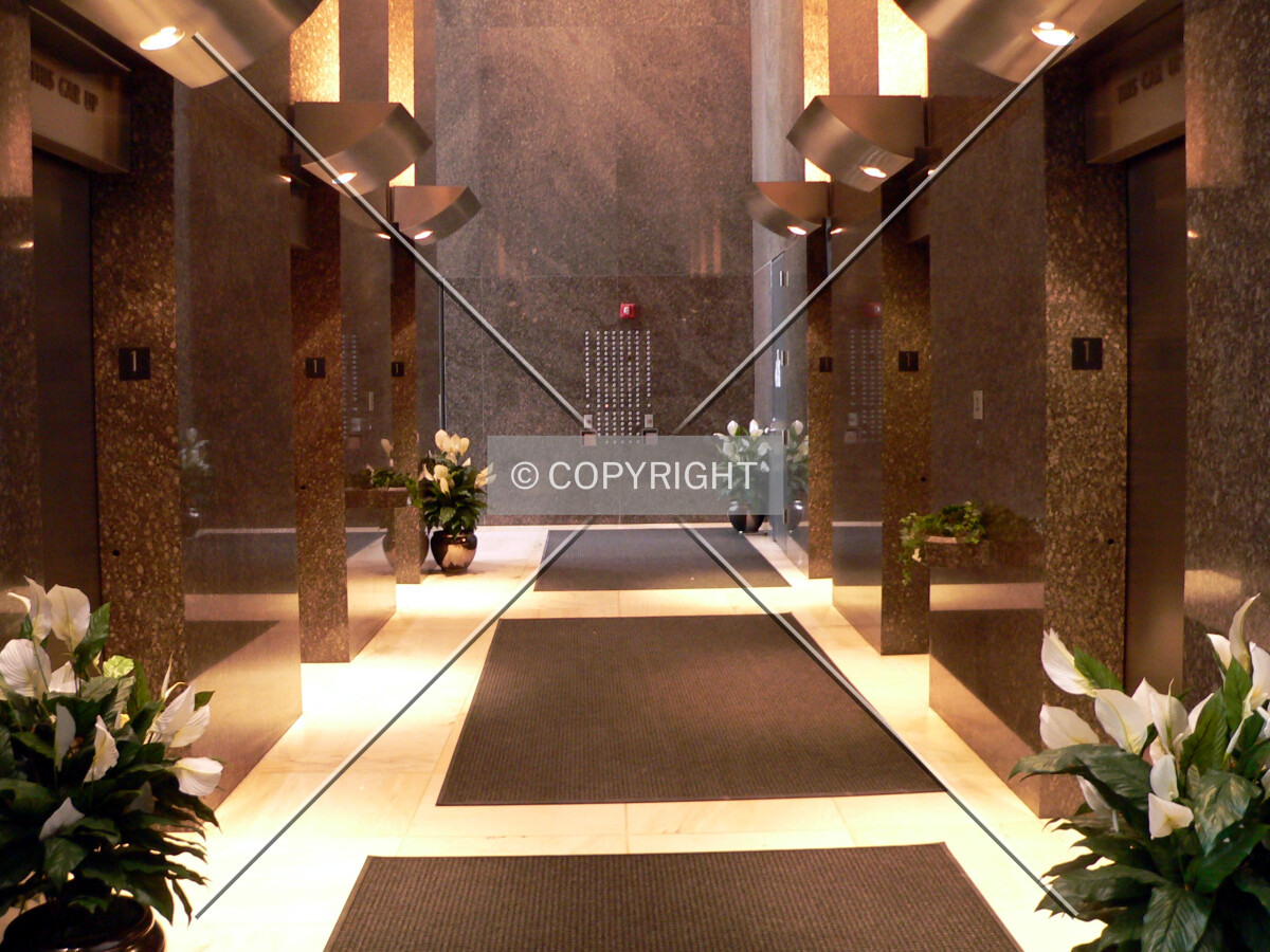 A bank of elevators