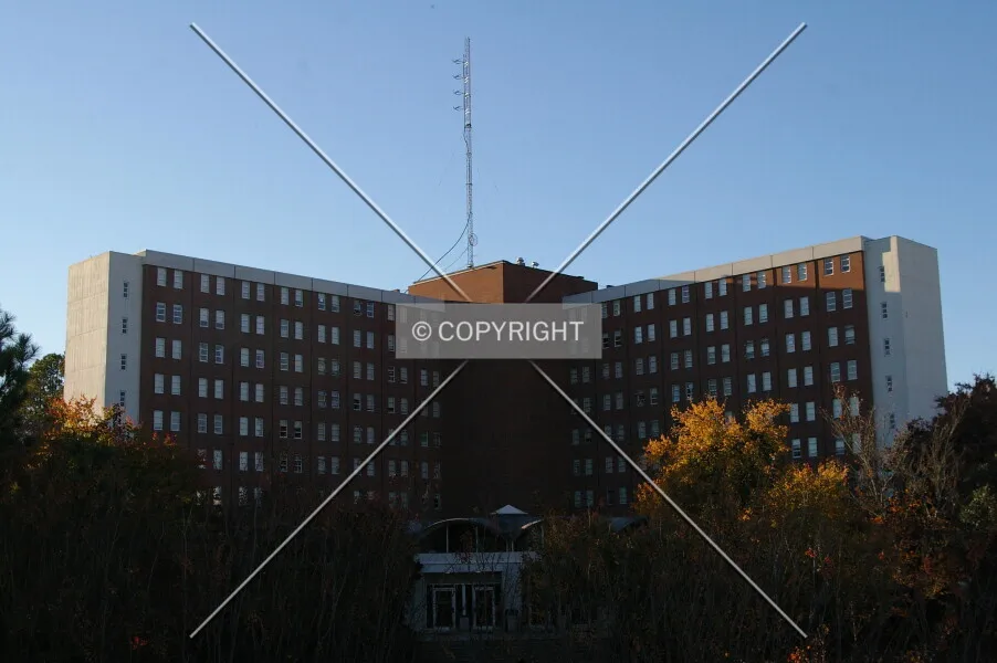 Photo 347-184-537