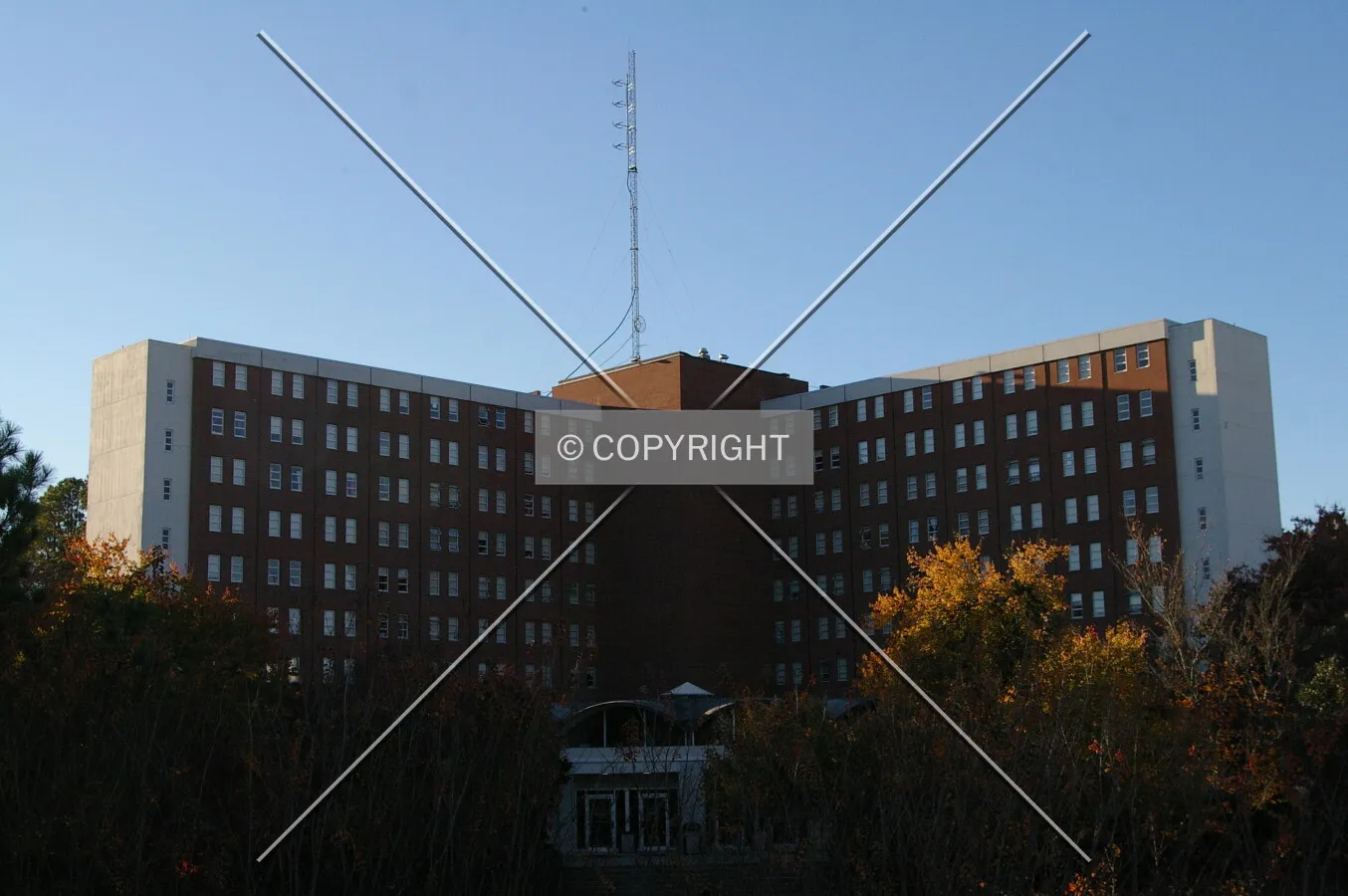 Photo 347-184-537