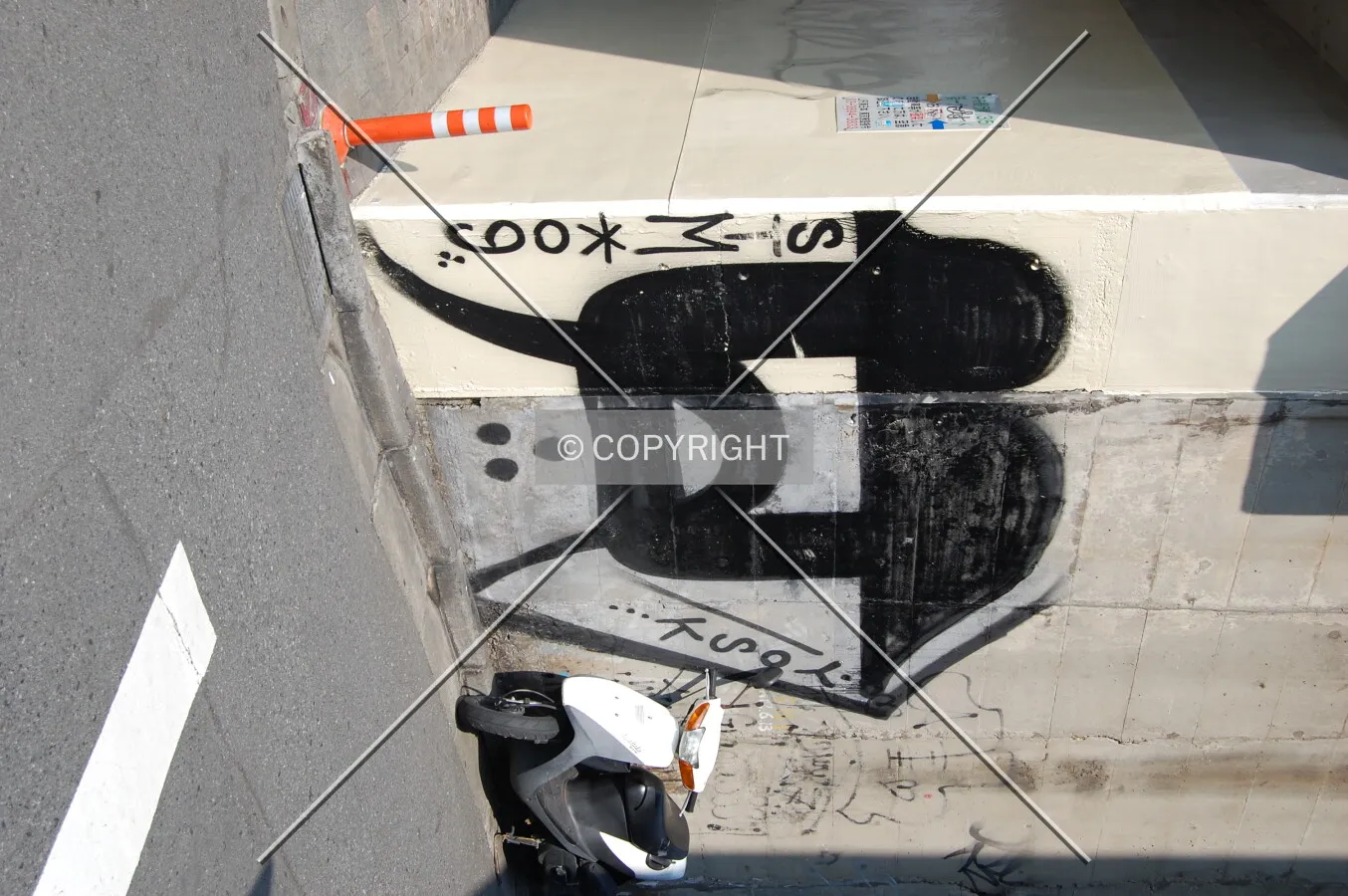 Photo 347-290-643