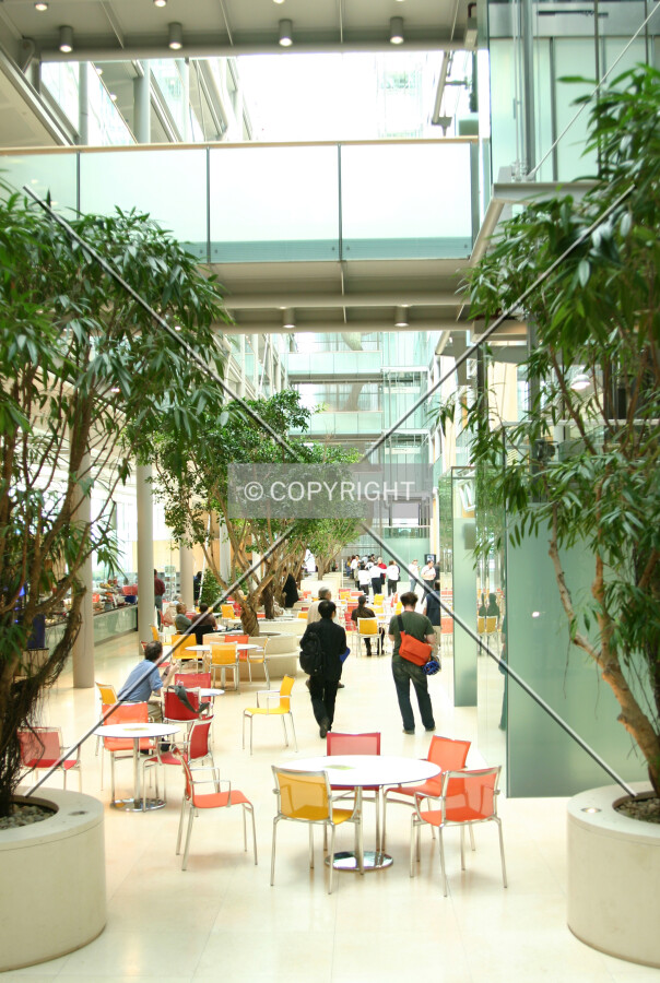 View west along the atrium showing some of the skybridges