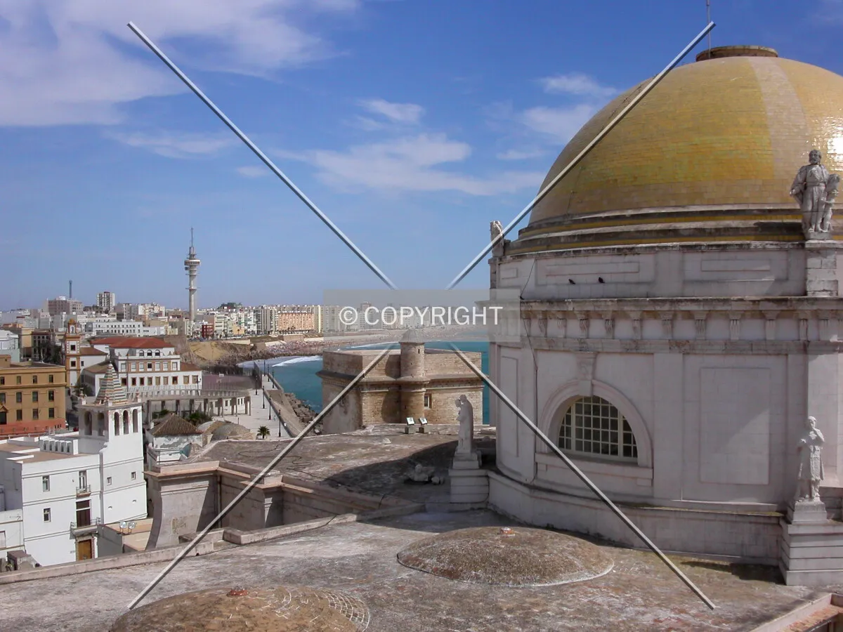Looking south from the cathedral's tower