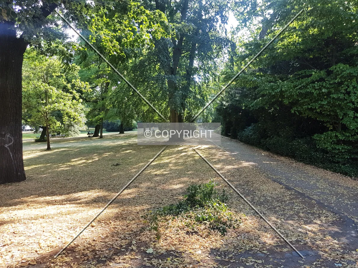 Sommerhoffpark