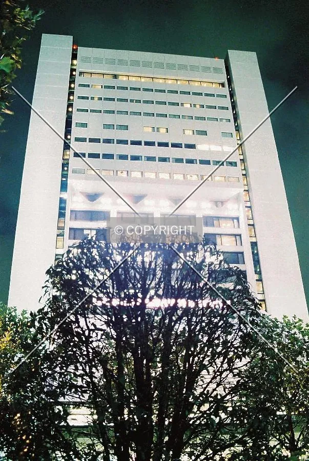 Photo 348-285-985