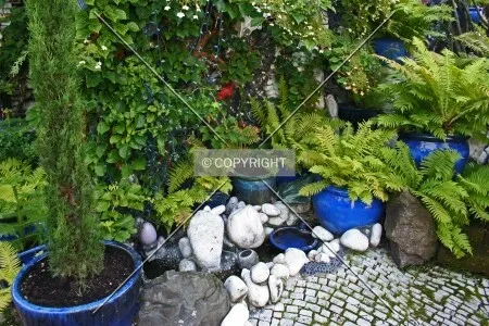 Landscaping detail