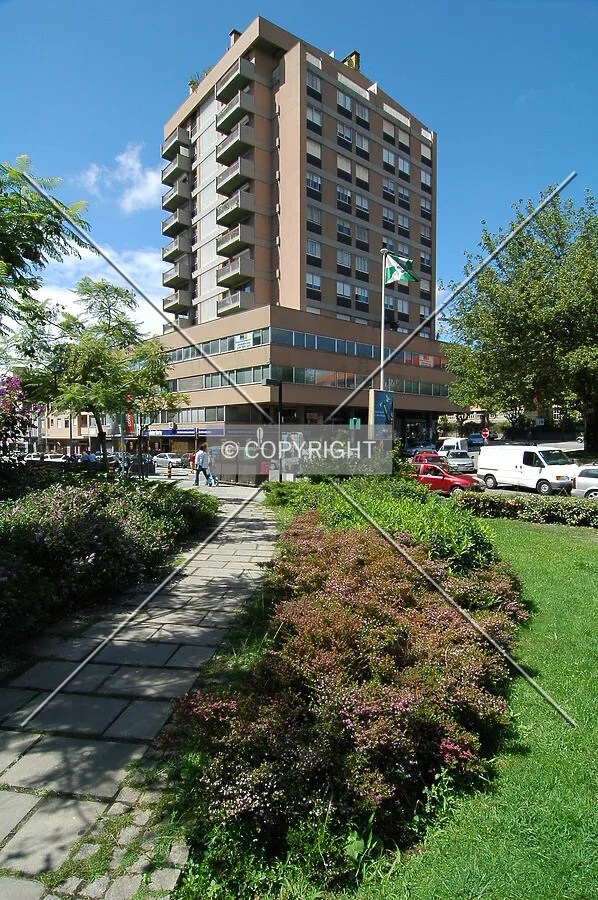 View from a nearby park