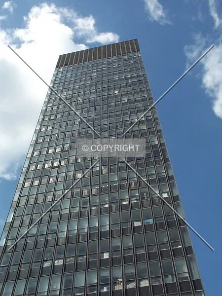 Photo 349-213-302