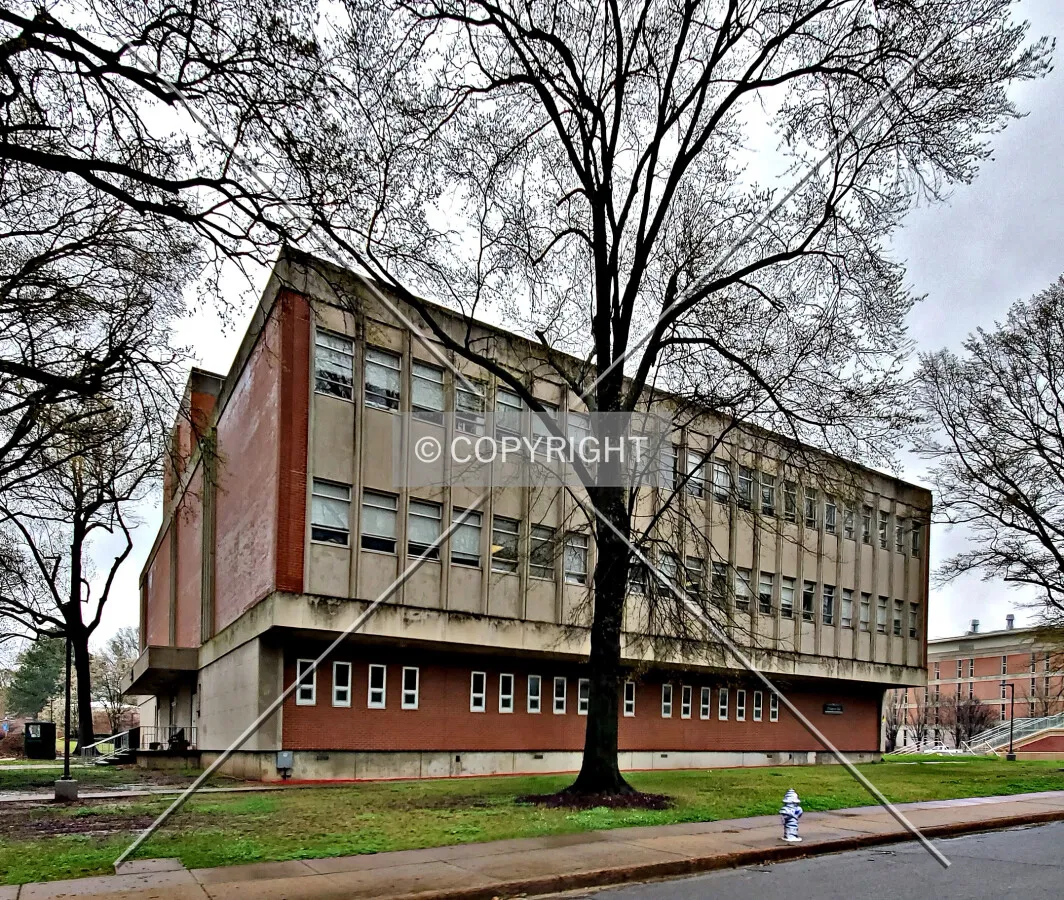 Southwest view; March 18, 2020
