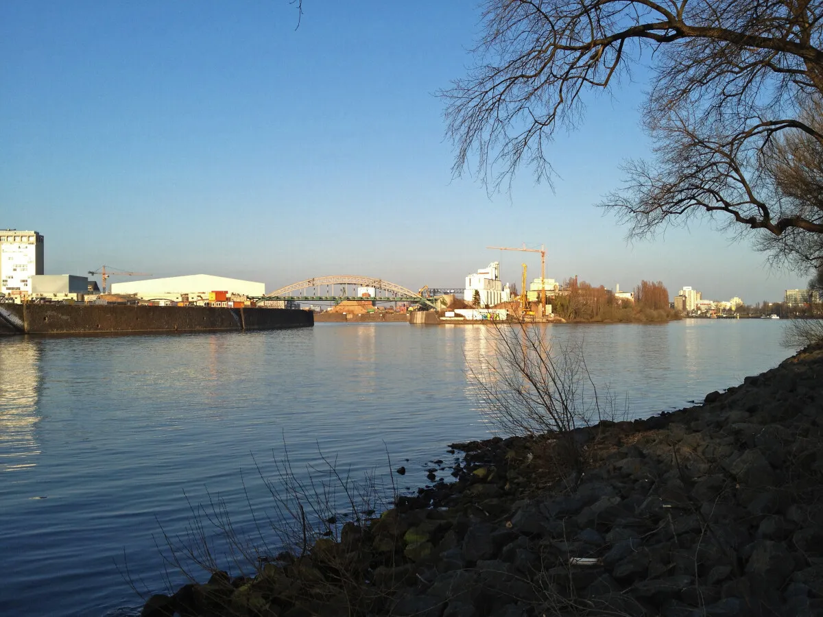 Photo 350-055-465