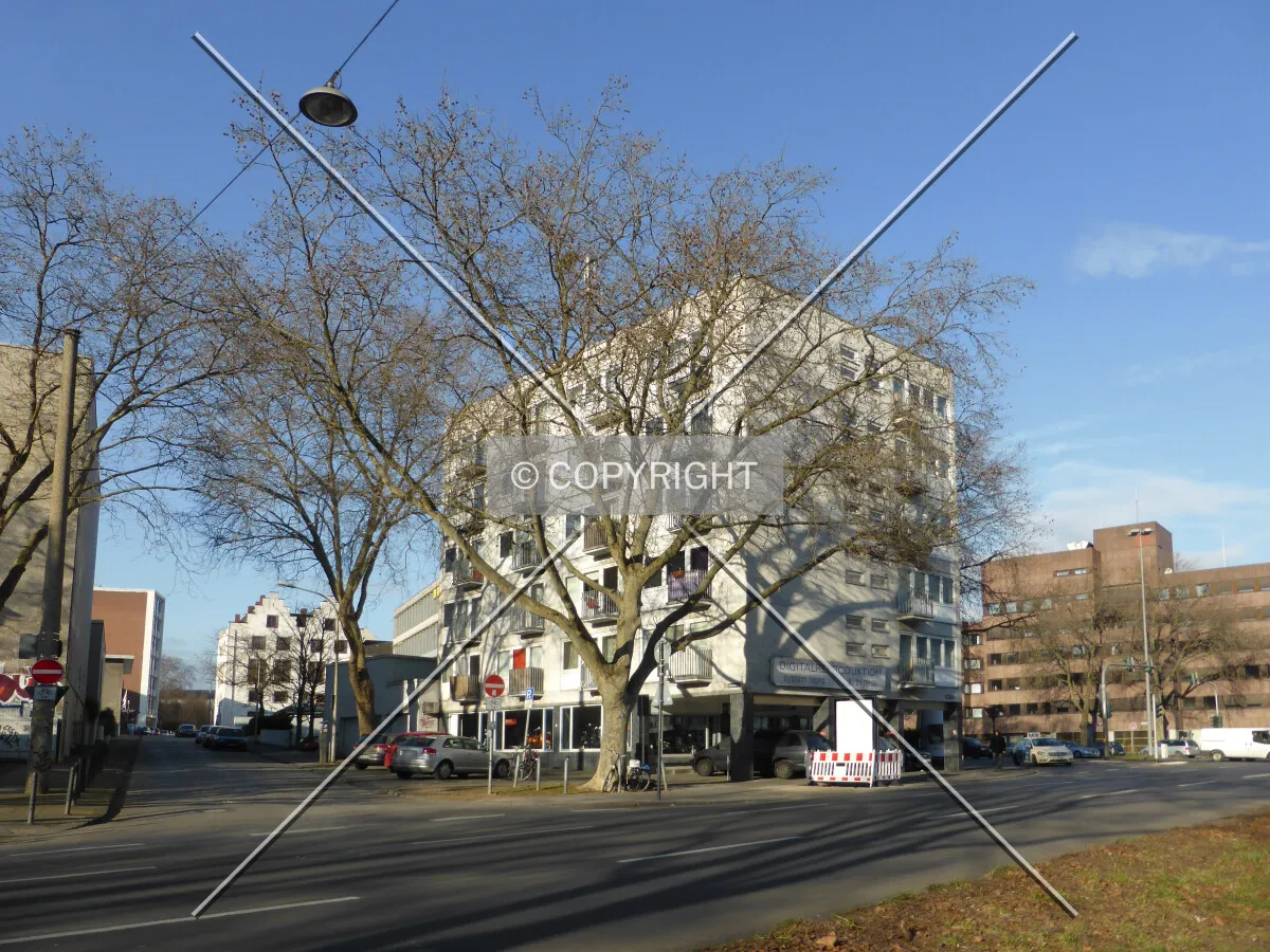Photo 350-067-726